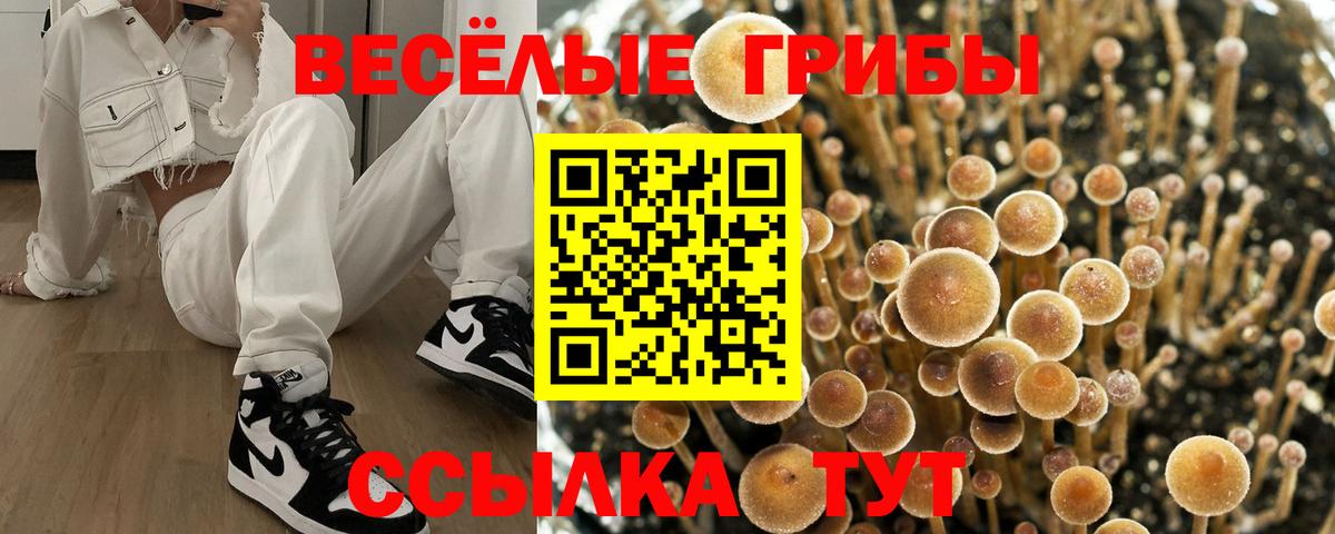 Псилоцибиновые грибы MAGIC MUSHROOMS Джанкой